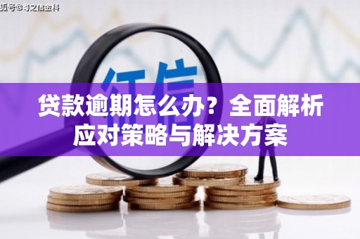 广宗贷款逾期怎么办？全面解析应对策略与解决方案