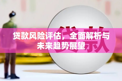广宗贷款风险评估，全面解析与未来趋势展望
