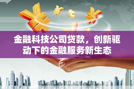 广宗金融科技公司贷款，创新驱动下的金融服务新生态