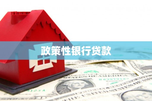 广宗政策性银行贷款