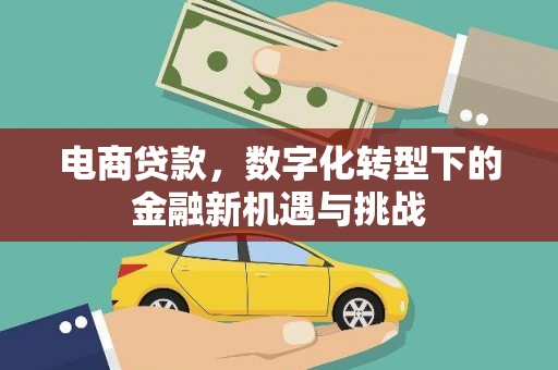 广宗电商贷款，数字化转型下的金融新机遇与挑战