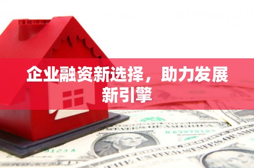 广宗企业融资新选择，助力发展新引擎