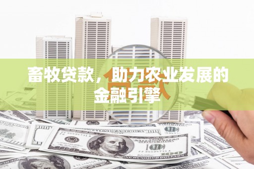 广宗畜牧贷款，助力农业发展的金融引擎