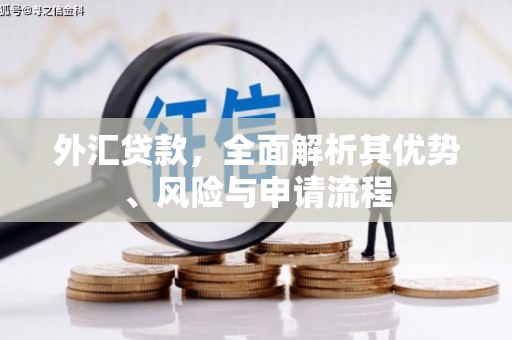 广宗外汇贷款，全面解析其优势、风险与申请流程