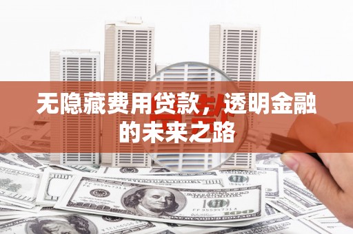 广宗无隐藏费用贷款，透明金融的未来之路