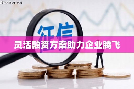 广宗灵活融资方案助力企业腾飞