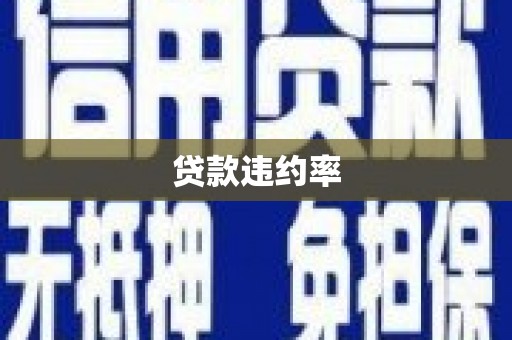 广宗贷款违约率
