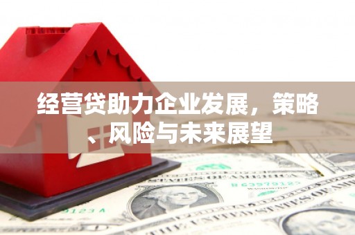 广宗经营贷助力企业发展，策略、风险与未来展望