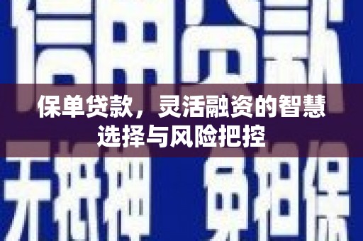 广宗保单贷款，灵活融资的智慧选择与风险把控