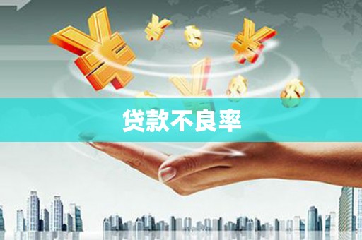 广宗贷款不良率