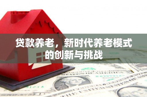 广宗贷款养老，新时代养老模式的创新与挑战