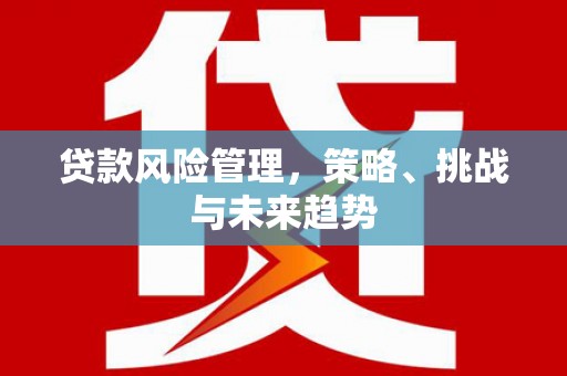 广宗贷款风险管理，策略、挑战与未来趋势