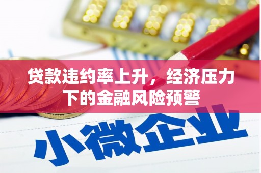 广宗贷款违约率上升，经济压力下的金融风险预警