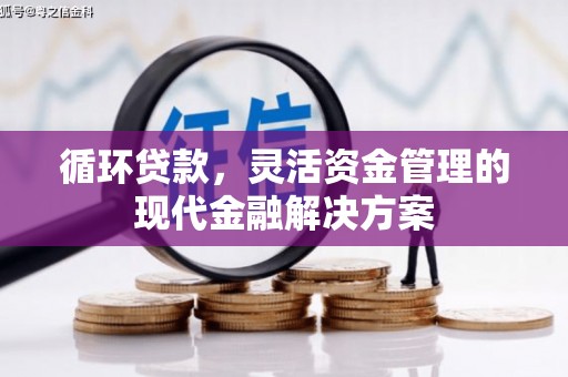 广宗循环贷款，灵活资金管理的现代金融解决方案