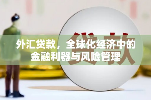 广宗外汇贷款，全球化经济中的金融利器与风险管理