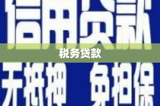 广宗税务贷款