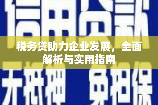 广宗税务贷助力企业发展，全面解析与实用指南