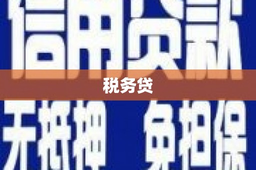 广宗税务贷