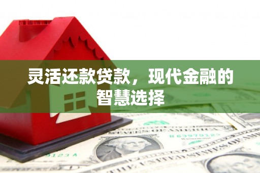 广宗灵活还款贷款，现代金融的智慧选择
