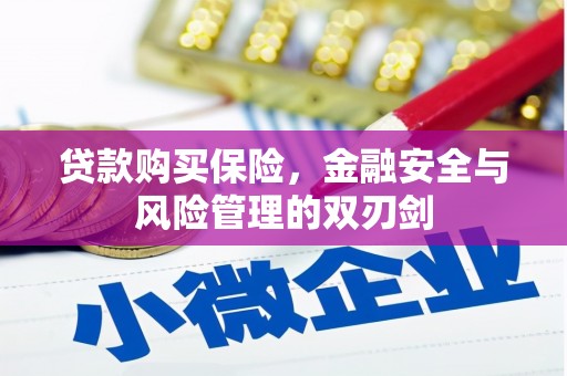 广宗贷款购买保险，金融安全与风险管理的双刃剑