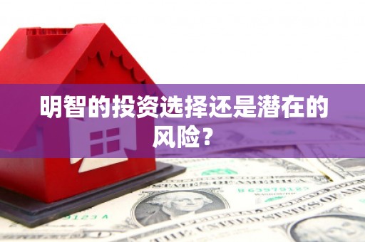 广宗明智的投资选择还是潜在的风险？