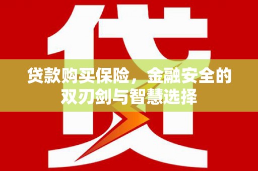 广宗贷款购买保险，金融安全的双刃剑与智慧选择