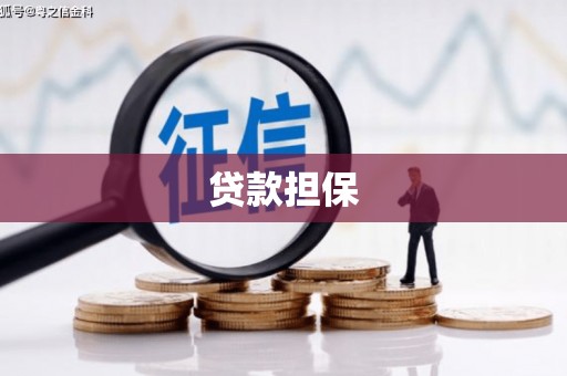 广宗贷款担保