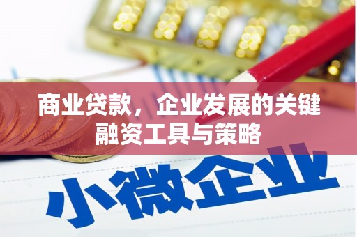 广宗商业贷款，企业发展的关键融资工具与策略