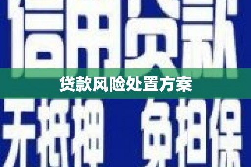 广宗贷款风险处置方案