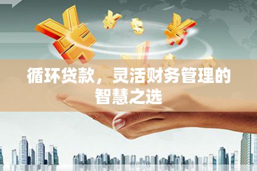广宗循环贷款，灵活财务管理的智慧之选