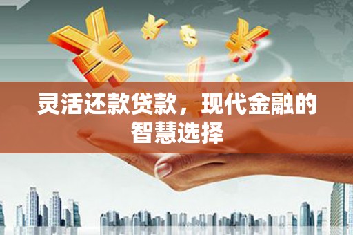 广宗灵活还款贷款，现代金融的智慧选择