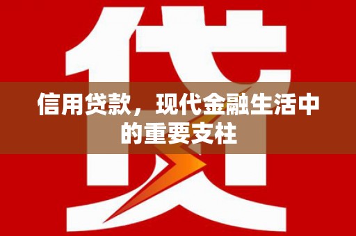 广宗信用贷款，现代金融生活中的重要支柱