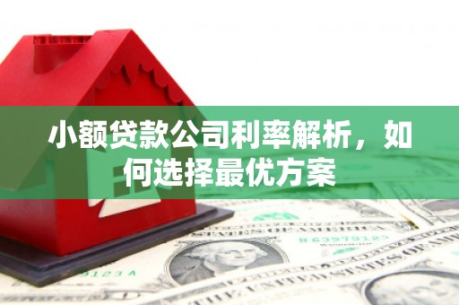 广宗小额贷款公司利率解析，如何选择最优方案