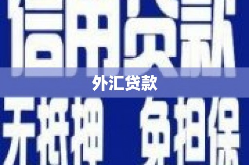 广宗外汇贷款