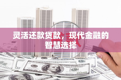 广宗灵活还款贷款，现代金融的智慧选择