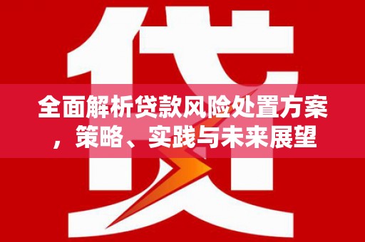 广宗全面解析贷款风险处置方案，策略、实践与未来展望