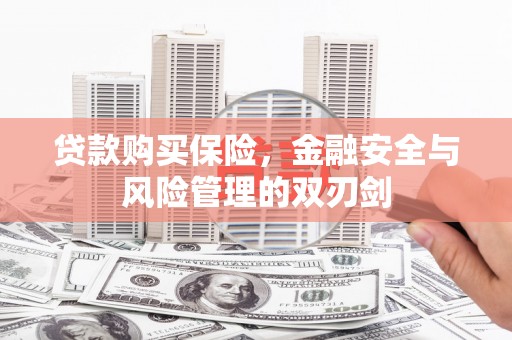广宗贷款购买保险，金融安全与风险管理的双刃剑