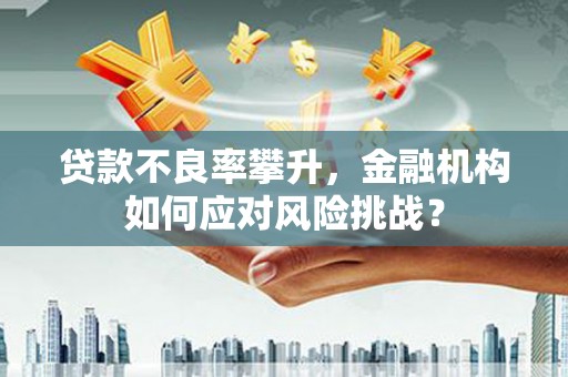 广宗贷款不良率攀升，金融机构如何应对风险挑战？
