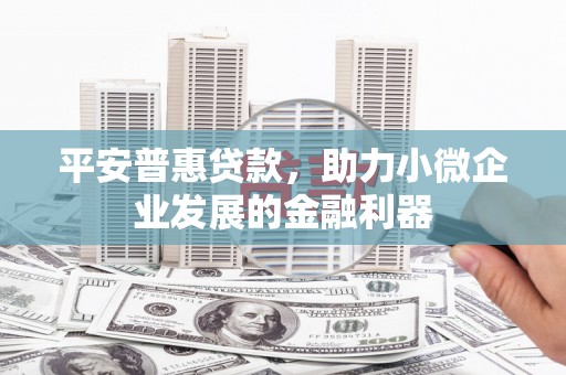 广宗平安普惠贷款，助力小微企业发展的金融利器
