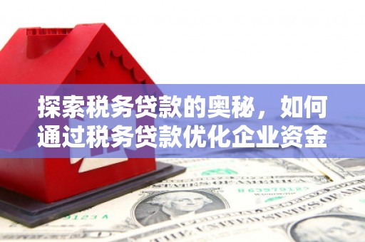 广宗探索税务贷款的奥秘，如何通过税务贷款优化企业资金流