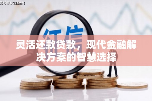 广宗灵活还款贷款，现代金融解决方案的智慧选择