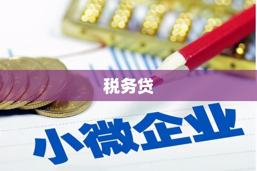 广宗税务贷