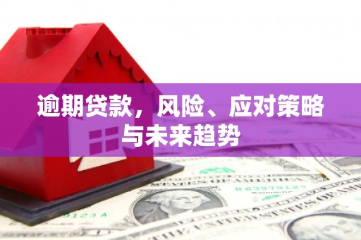 广宗逾期贷款，风险、应对策略与未来趋势