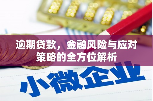 广宗逾期贷款，金融风险与应对策略的全方位解析