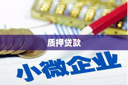 广宗质押贷款
