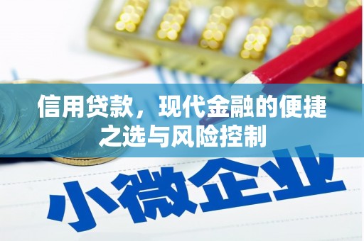广宗信用贷款，现代金融的便捷之选与风险控制