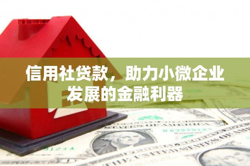 广宗信用社贷款，助力小微企业发展的金融利器