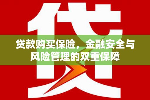 广宗贷款购买保险，金融安全与风险管理的双重保障