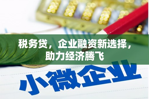 广宗税务贷，企业融资新选择，助力经济腾飞