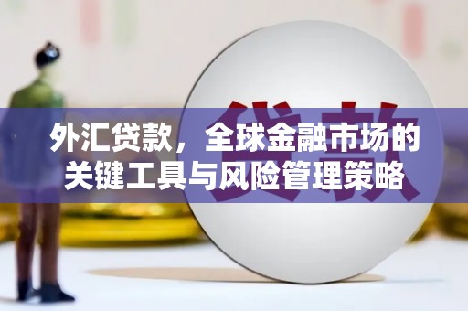 广宗外汇贷款，全球金融市场的关键工具与风险管理策略